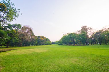 Park ve Rekreasyon alanında yeşil çim