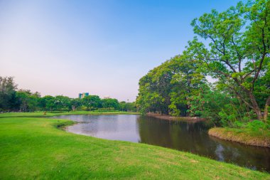 Park ve Rekreasyon alanında yeşil çim