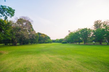 Yeşil alan Şehir Parkı, güzel çim