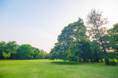 Yeşil alan Şehir Parkı, güzel çim