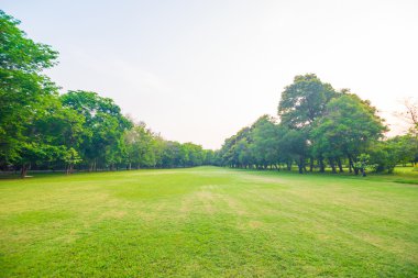 Gün batımında güzel yeşil park