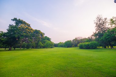Gün batımında güzel yeşil park