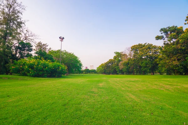 Grön gräsmatta i stadsparken — Stockfoto