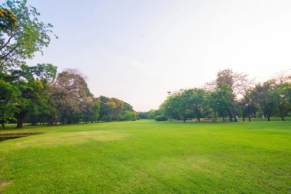 Grön gräsmatta i park-och rekreationsområde — Stockfoto
