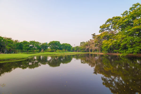 Hermoso árbol verde parque y pantano —  Fotos de Stock