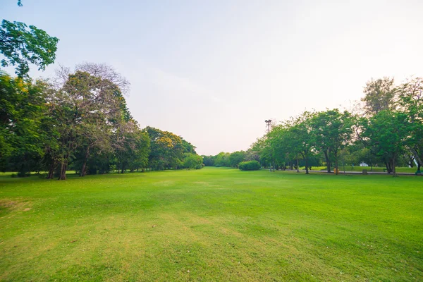 Green field city park, Beautiful lawn