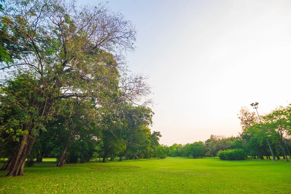 Green field city park, Beautiful lawn — Stock Photo, Image