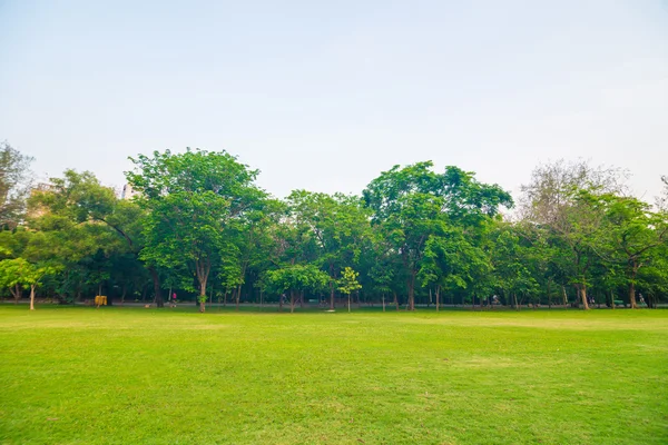 Campo verde parque de la ciudad, hermoso césped —  Fotos de Stock