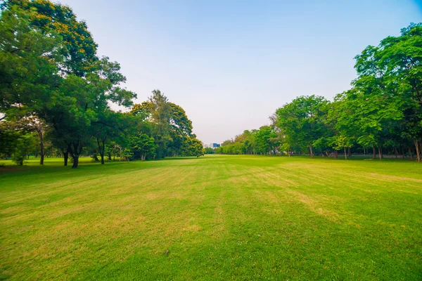 Yeşil alan Şehir Parkı, güzel çim — Stok fotoğraf