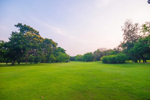 Belo parque verde ao pôr do sol — Fotografia de Stock