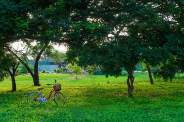Yeşil çimenlerin üzerinde kırmızı bisiklet