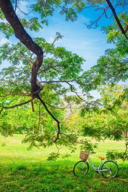 Yeşil çimenlerin üzerinde beyaz Bisiklet