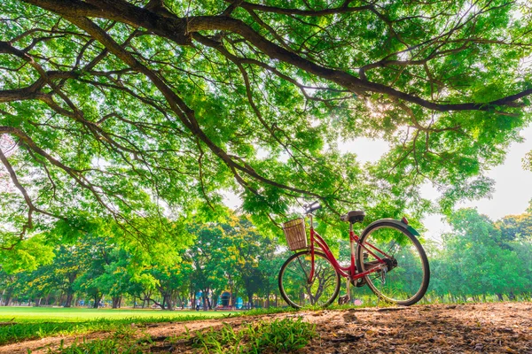 Czerwony rower na zielonej trawie — Zdjęcie stockowe