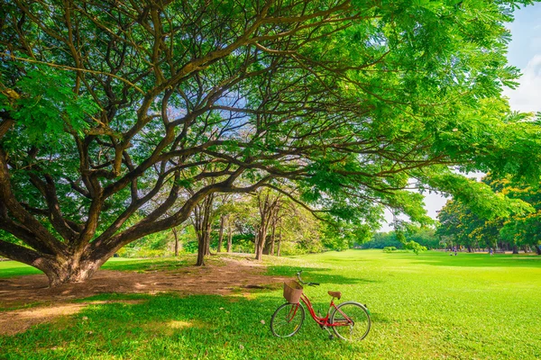 Red bicycle in park — Stock Photo, Image