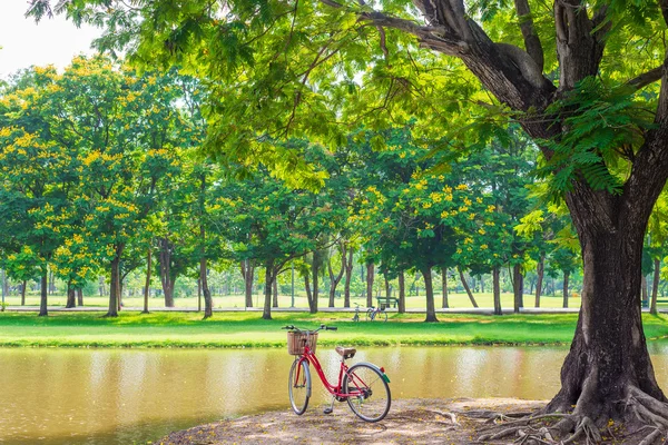 Röd cykel i park — Stockfoto