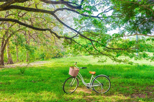 Witte fiets op groen gras — Stockfoto