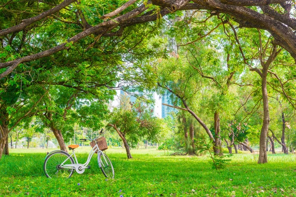 Bicicleta branca na grama verde — Fotografia de Stock