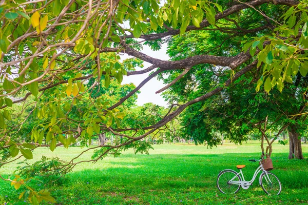 Vit cykel i parken — Stockfoto