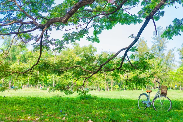 White bicycle on green grass — Stock Photo, Image