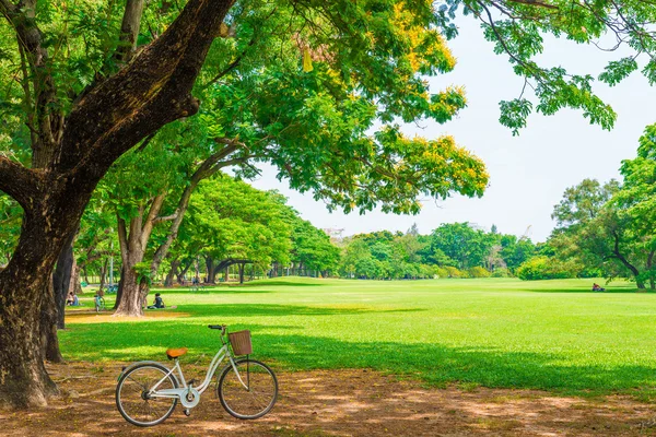 Vit cykel i parken — Stockfoto