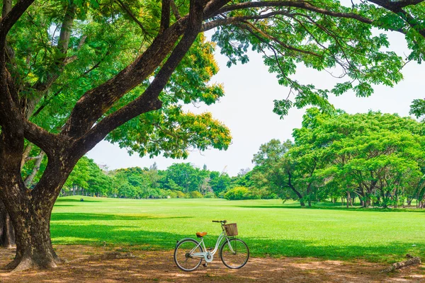 Vit cykel i parken — Stockfoto