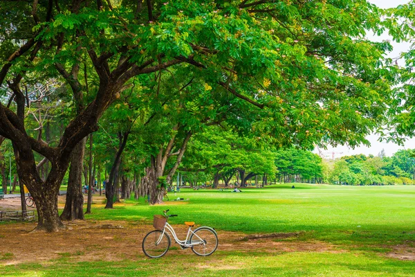 Bicicleta branca no parque — Fotografia de Stock