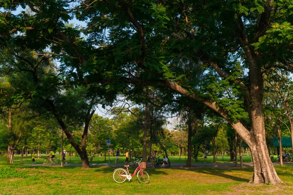 Bicicleta vermelha na grama verde — Fotografia de Stock