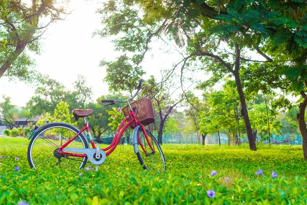 在绿色草地上的红色自行车 — 图库照片