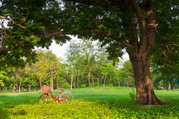 Bicicleta roja sobre hierba verde —  Fotos de Stock