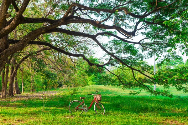 Bicicleta vermelha na grama verde — Fotografia de Stock