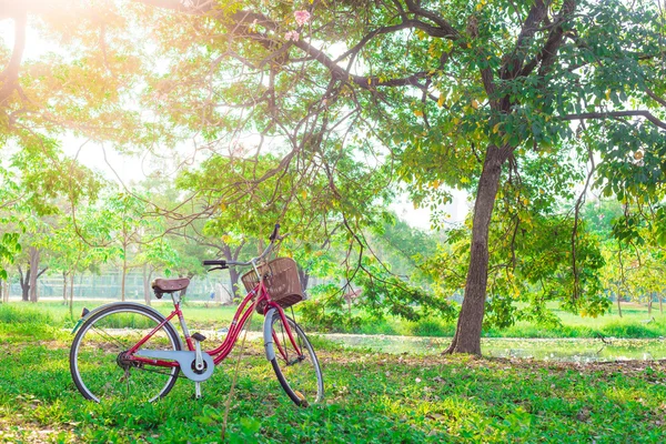 Red bicycle on green grass — Stock Photo, Image