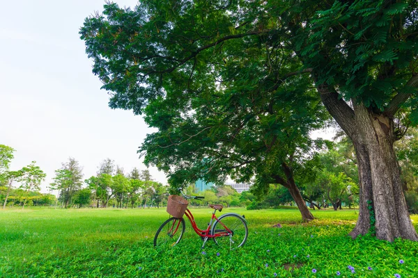 Red bicycle on green grass — Stock Photo, Image