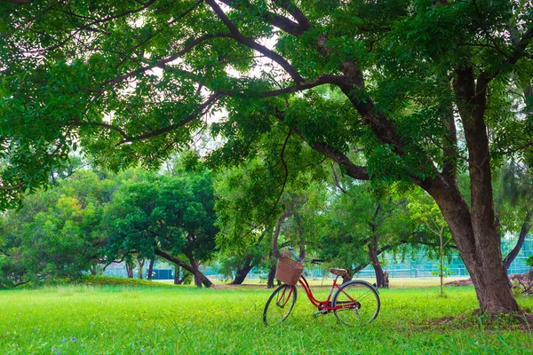 Röd cykel på grönt gräs — Stockfoto