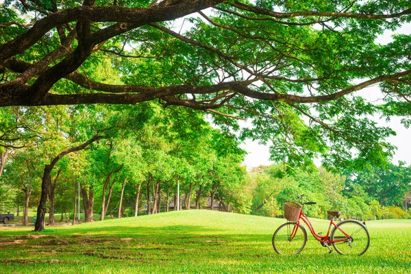 Red bicycle on green grass — Stock Photo, Image