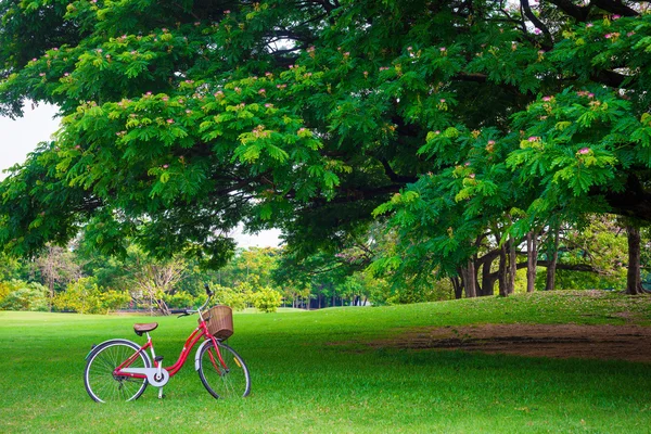 Röd cykel på grönt gräs — Stockfoto
