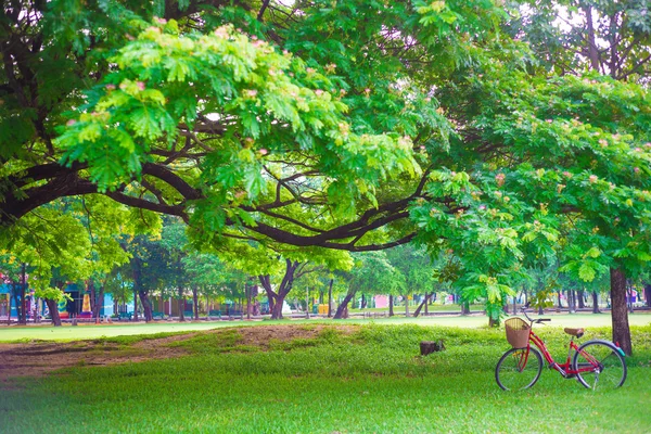 緑の草の赤い自転車 — ストック写真