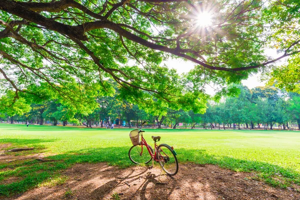 Bicicleta vermelha na grama verde — Fotografia de Stock
