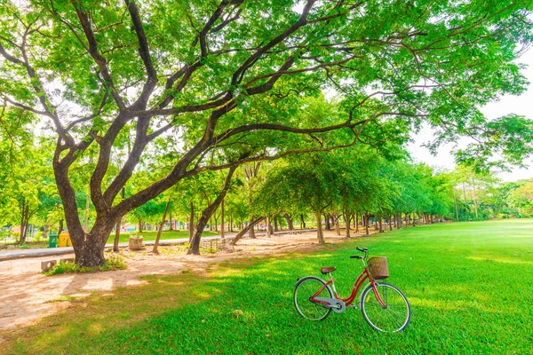 Red bicycle in park — Stock Photo, Image