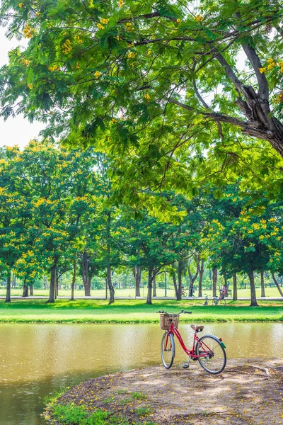 Red bicycle in park — Stock Photo, Image