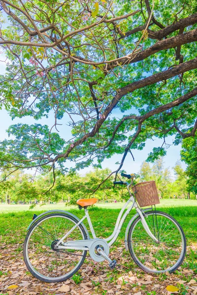 White bicycle in the park — Stock Photo, Image