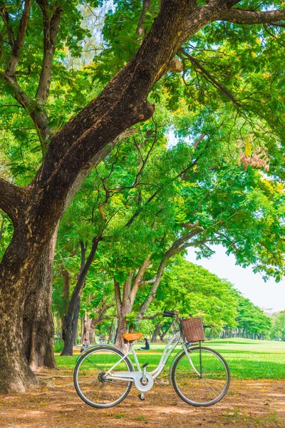 Vit cykel i parken — Stockfoto