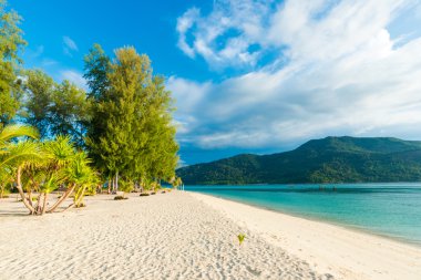 Beach and tropical Andaman sea with blue sky clipart