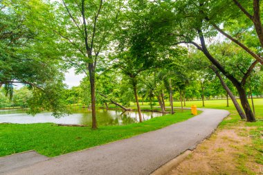 Şehir Parkı, güzel park ağacında yeşil çim