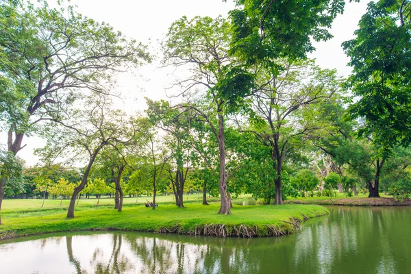 Grön gräsmatta med träd i parken av Bangkok — Stockfoto