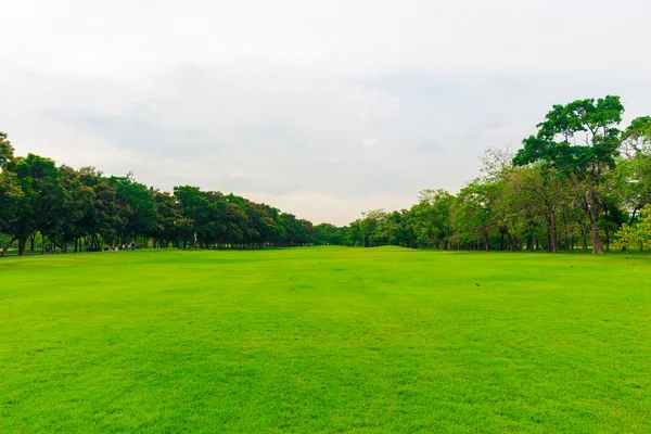 Prato verde con alberi nel parco della città di Bangkok — Foto Stock