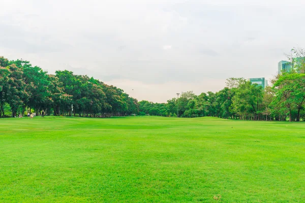 Hijau halaman dengan pohon di taman kota, Indah taman — Stok Foto