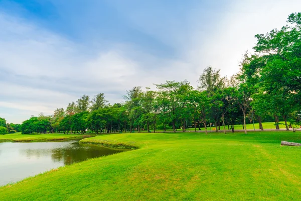 Césped verde con árboles en el parque de la ciudad de Bangkok — Foto de Stock