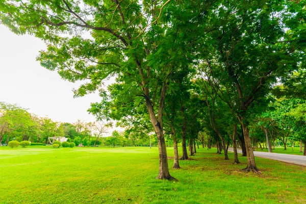 Gramado verde com árvore no parque da cidade, belo parque — Fotografia de Stock