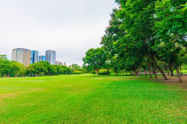 Green lawn with trees in park of bangkok city, Thailand central park