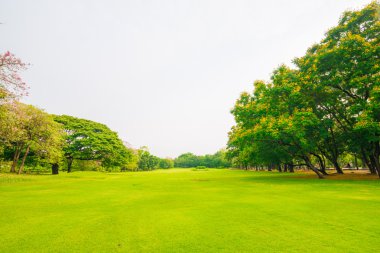 Güzel yeşil park ve çayır